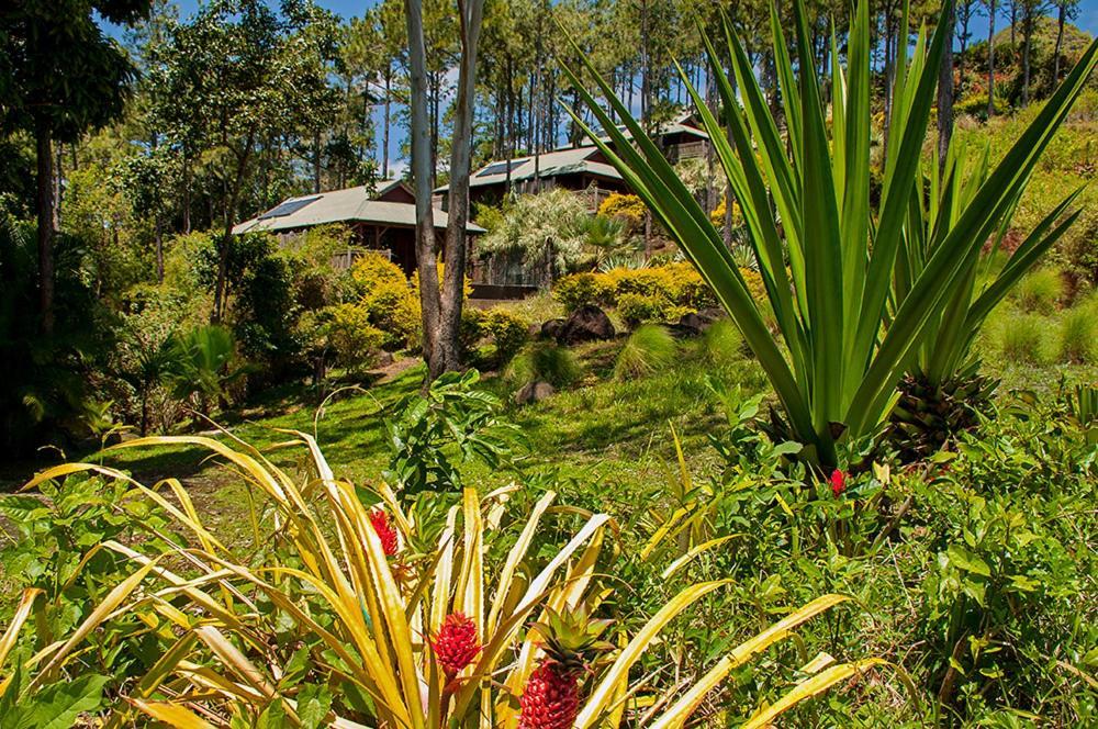 Lakaz Chamarel Exclusive Lodge Luaran gambar