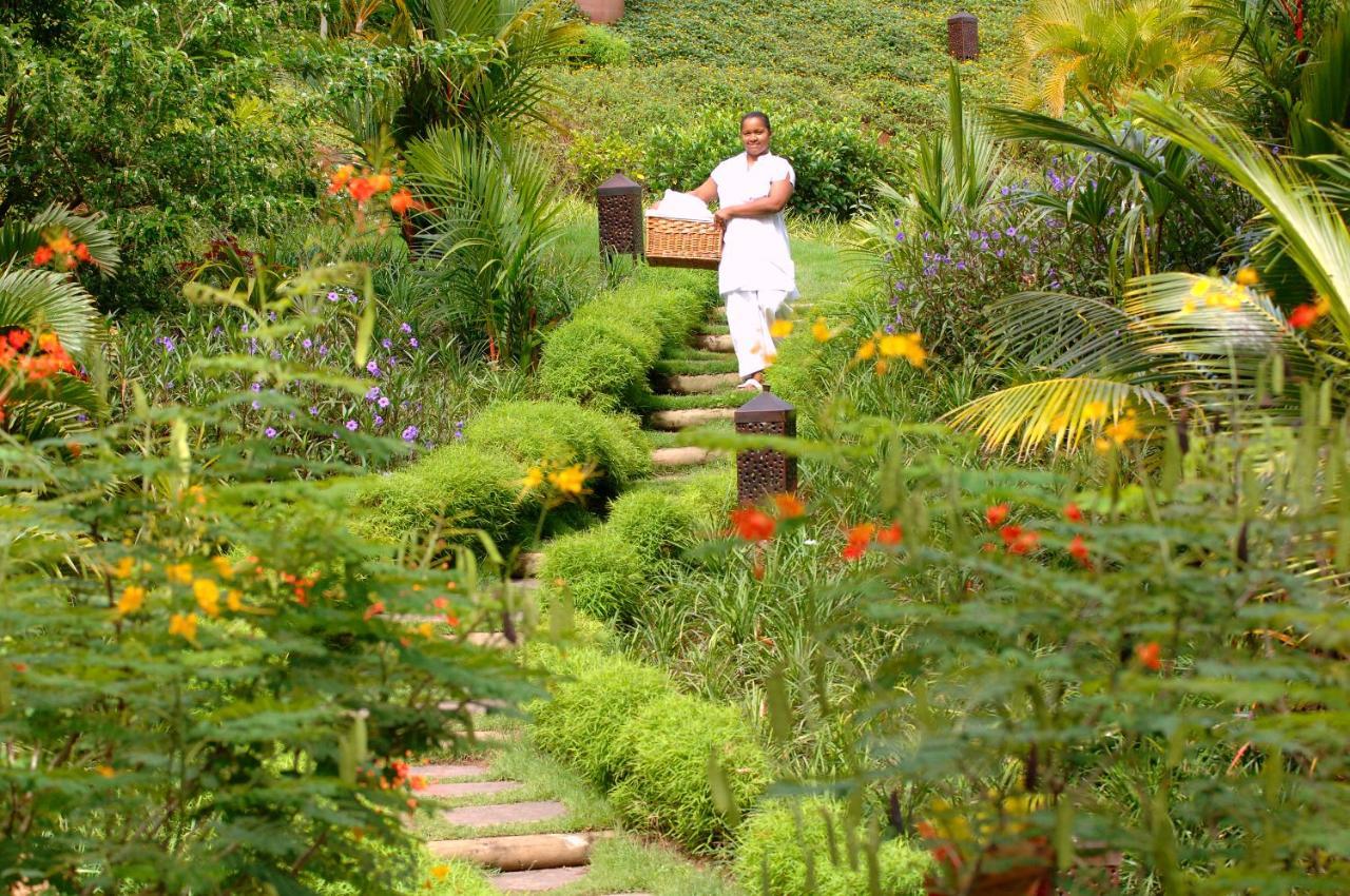 Lakaz Chamarel Exclusive Lodge Luaran gambar